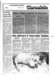 The Chronicle [February 2, 1979]