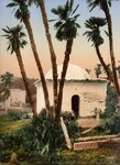 Alger Cimetriere Et Marabut A Bouzareaa by William Henry Jackson