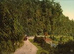 In Otira Gorge by William Henry Jackson