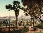 Snow and Palms at Pasadena, California