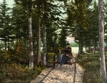 Adirondack Hand Cart Carry by William Henry Jackson